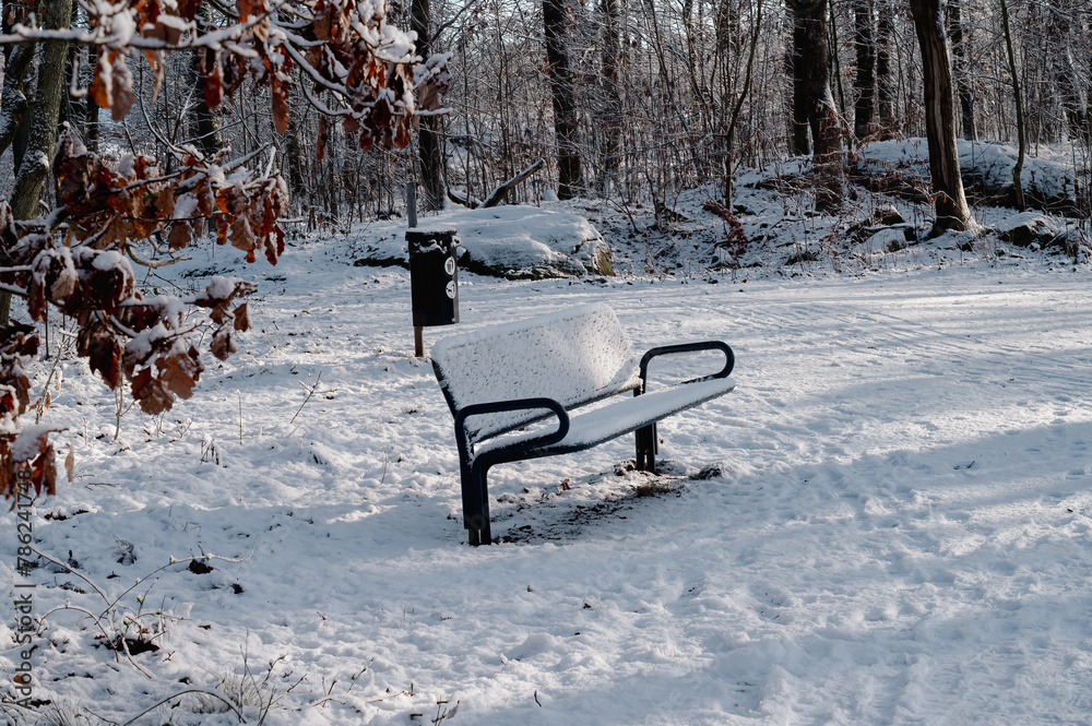 Snow covered bench in snowy landscape