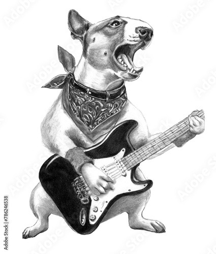 Bull terriere che suona la chitarra