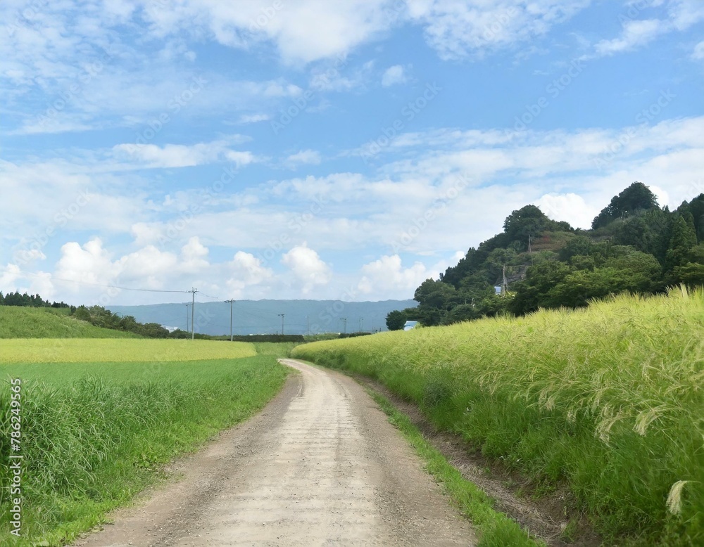 Relaxing peaceful country road.