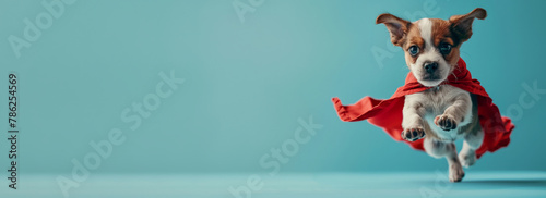 A happy puppy in a red cape jumping in the air against an electric blue sky © orientka