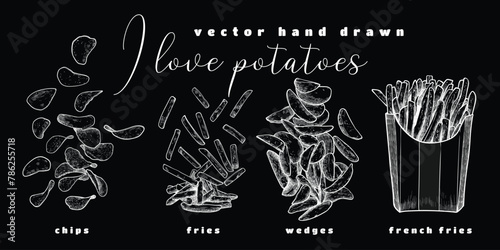 I love potatoes. Variety of cooked potatoes such as chips, fries, wedges, french fries. Hand drawn vector cooked potatoes. 