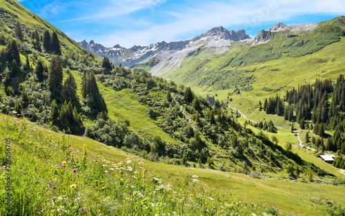 idyllic spring valley Gafiertal near St. Antonien, canton grisons switzerland photo