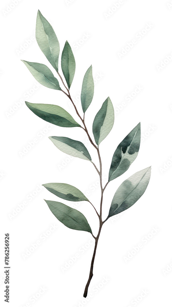 PNG Leaf branch plant green PNG Leaf branch plant green