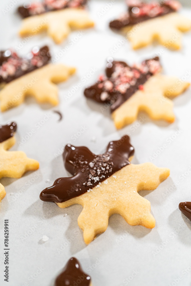 Making Star-Shaped Cookies with Chocolate and Peppermint Chips Making Star-Shaped Cookies with Chocolate and Peppermint Chips