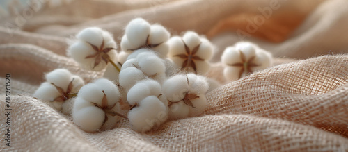 white cotton balls on a brown piece of fabric, in the style of nature-inspired imagery, combining natural and man-made elements