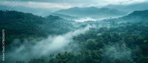 Mysterious foggy landscape in the jungle with cloud-covered mountains and misty valley, creating a serene and enchanting atmosphere.