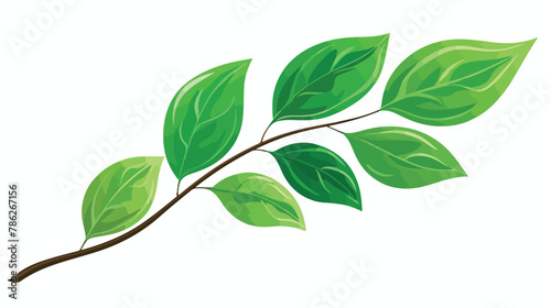 Leaf plant natural sheet vector illustration design vector
