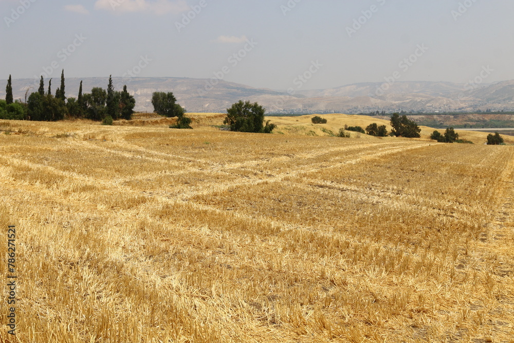 Fototapeta premium Beautiful landscape of pristine nature.