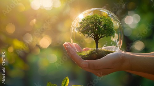 Hand Holding a Glass Sphere with a Vibrant Tree Inside Under Sunlight