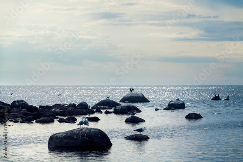 Photos Seascape