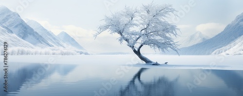 Frozen Tree alone in the middle of foggy lake, beautiful winter mountain landscape around.