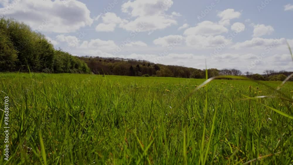 English country side meadows on a sunny spring day. Beautiful clear blue skies and green grass and flowers. English country side meadows on a sunny spring day. Beautiful clear blue skies and green grass and flowers.