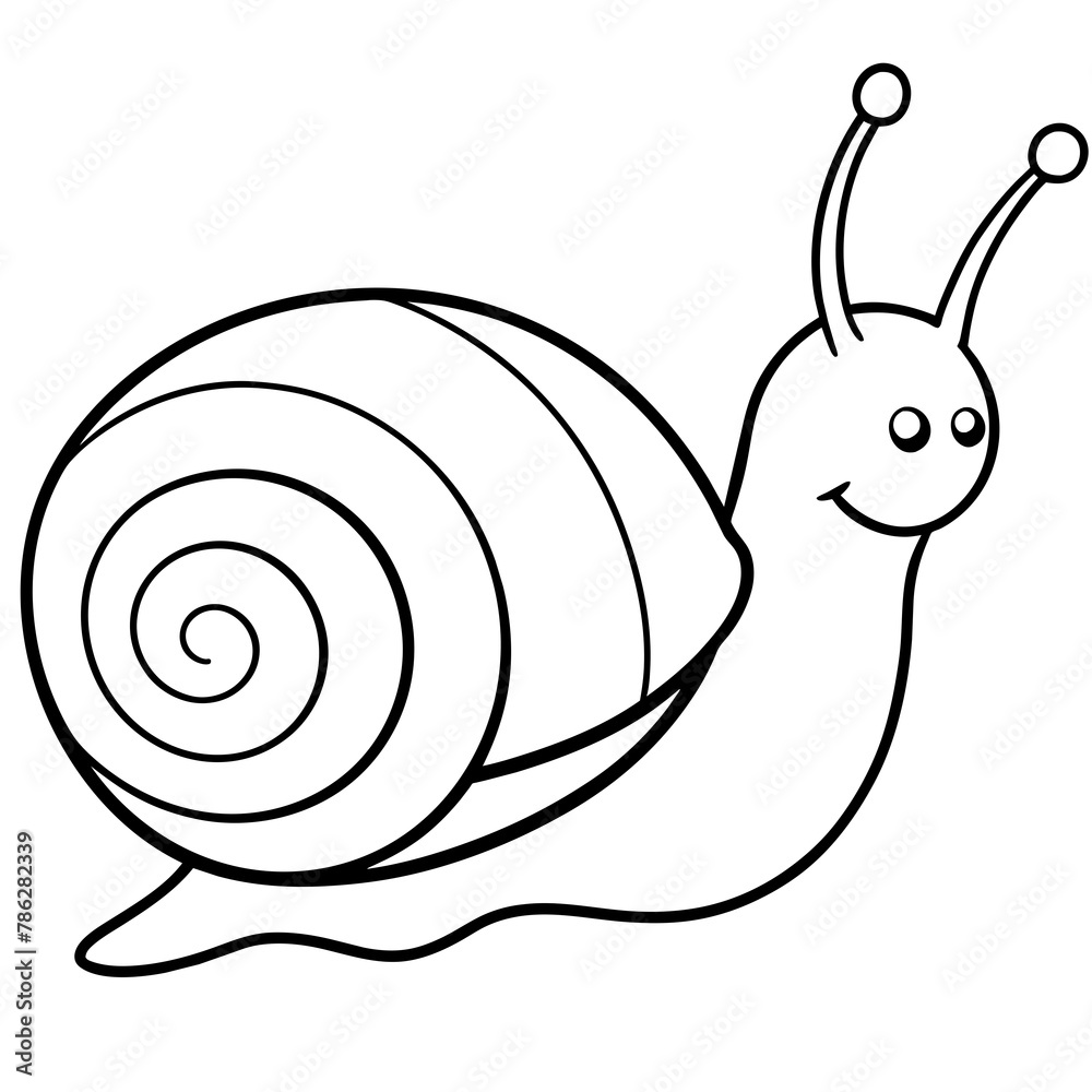 snail on a white background