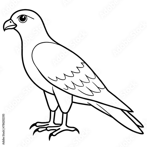dove of peace
