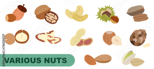 A collection of different colored nuts. Various nuts. Concept of healthy eating.