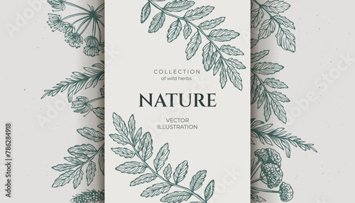 Background various wild herbs with a grunge background, space for text. Hand drawn in pencil style, featuring wild weeds. Vintage vibe banner. Not AI.