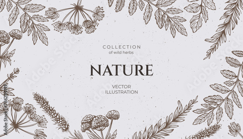 Background various wild herbs with a grunge background, space for text. Hand drawn in pencil style, featuring wild weeds. Vintage vibe banner. Not AI.
