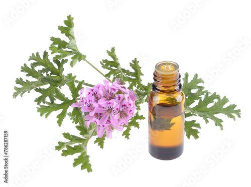 Rose Geranium essential oil in dark glass bottle with fresh scented  leaves isolated on white background.
