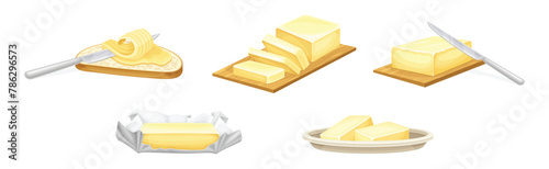 Butter as Dairy Product of Fat and Protein Vector Set