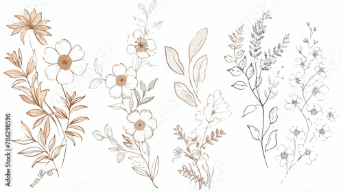 Elegant frames with hand drawn flowers and leaves design