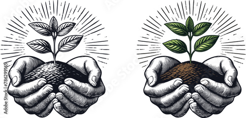 Set of human hand holding sprout, vector illustration.