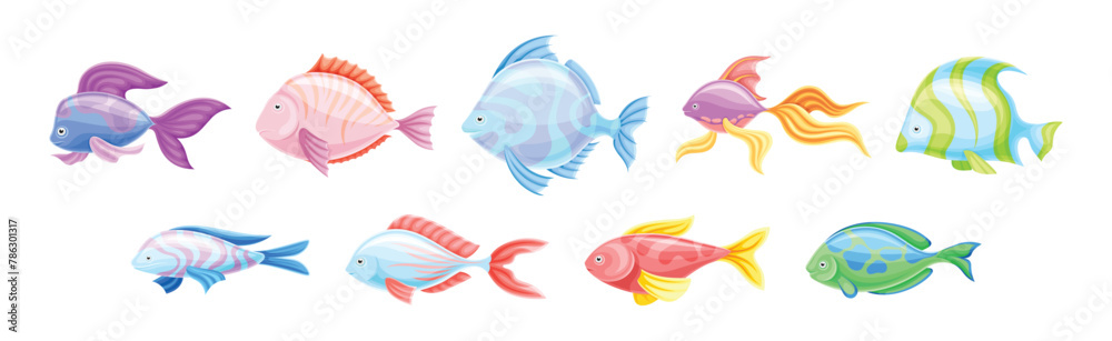 Fototapeta premium Tropical Fish as Aquarium Sea Pet Vector Set