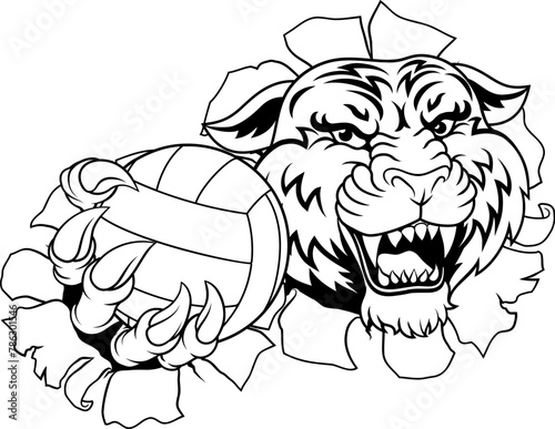 A tiger volleyball animal sports mascot holding a volley ball in his claw