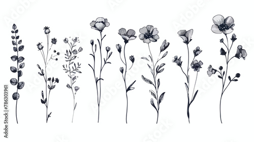 Flower set. Herbarium. Beautiful design element for in