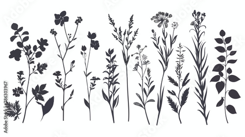 Flower set. Herbarium. Beautiful design element for in © Tech
