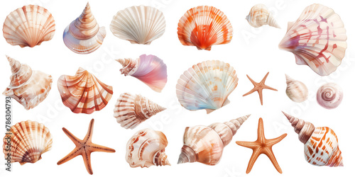 sea shell watercolor illustration clipart.