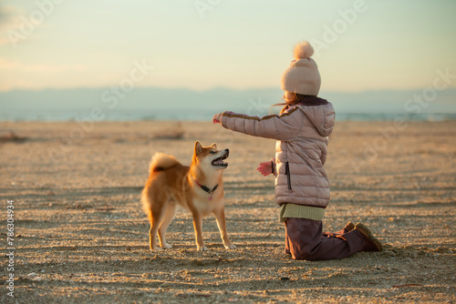 A young girl with a dog in nature. Kid girl playing with a shiba inu dog on the beach at sunset in Greece in winter