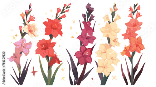 Gladiolus blossom and stars flat vector isolated on white