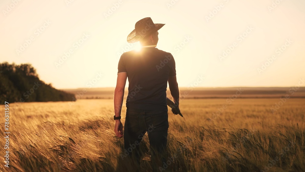 Naklejka premium Agriculture. a farmer with a laptop walks in an agricultural field of wheat at sunset. agriculture business concept. farmer walk with tablet works in wheat lifestyle field sunlight