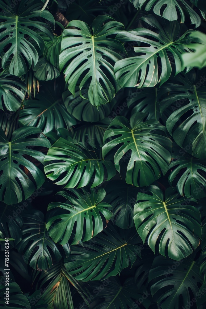 Exotic tropical forest  lush palm leaves and trees in a wild jungle   nature panorama wallpaper