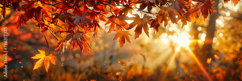 Macro View of Autumn Leaves, Showcasing the Intricate Patterns and Bright Colors of the Season