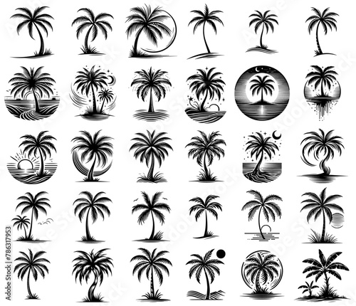 palms tree   vector illustration silhouette for laser cutting cnc  engraving  tropical icon  clipart black shape