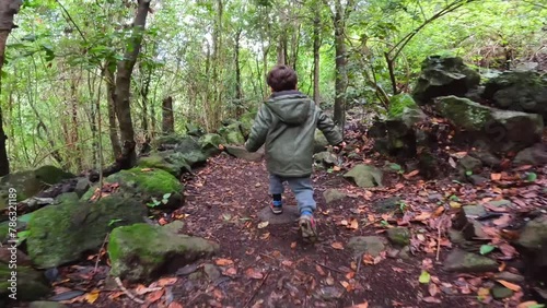 A boy walking in the Laurisilva forest of Los tilos de Moya in Doramas, Gran Canaria photo