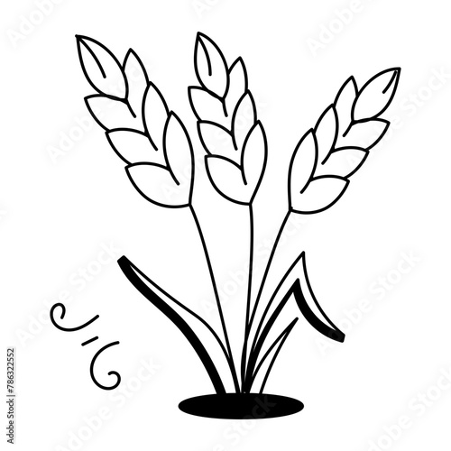 A doodle style icon of wheat sheaf 