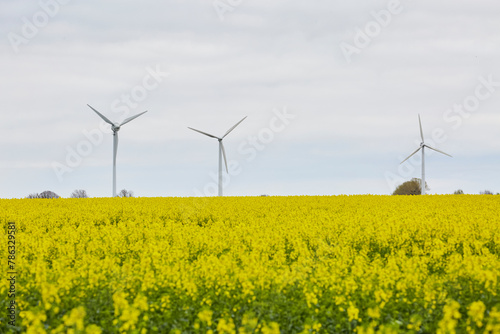 Blick auf Windräder, Haarstrang, Kreis Soest, NRW, Deutschland, April 2024  