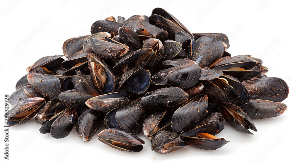 a pile of mussels on white background, a big copy space a pile of mussels on white background, a big copy space