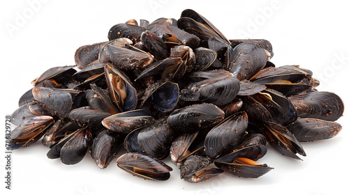 a pile of mussels on white background, a big copy space