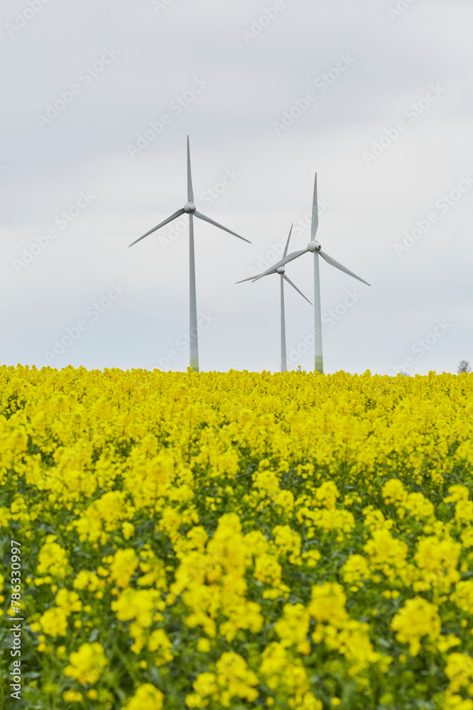 Blick auf Windräder, Haarstrang, Kreis Soest, NRW, Deutschland, April 2024 Blick auf Windräder, Haarstrang, Kreis Soest, NRW, Deutschland, April 2024