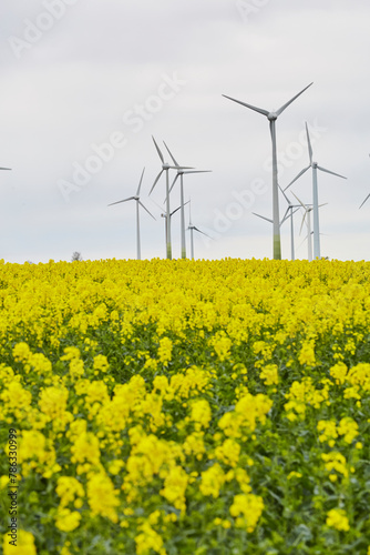 Blick auf Windräder, Haarstrang, Kreis Soest, NRW, Deutschland, April 2024  