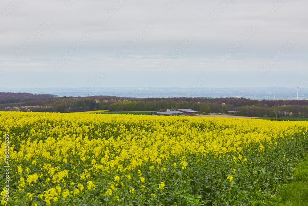 kreis soest, kreis soest in bildern, landkreis soest, soester börde, sauerland, kreis soest, kreis soest in bildern, landkreis soest, soester börde, sauerland,