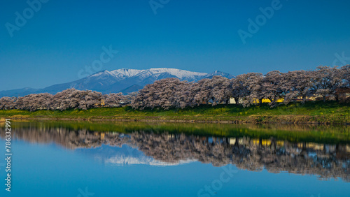 日本の春 絶景 白石川堤一目千本桜