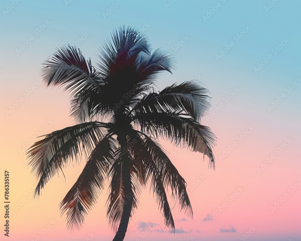 A palm tree at sunset with a blue sky and pink clouds.