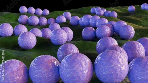 3d rendering of streptococcus, is  spherical bacterium that belong to the family Streptococcaceae. They are non-sporing cocci that tend to link in chains. photo