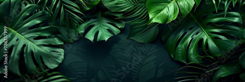 Exotic tropical forest  lush palm leaves and trees in a wild jungle   nature panorama wallpaper © Ilja
