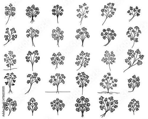 herbs nature plant floral vector black ornamental, floristic decoration illustration, silhouette svg, laser cutting cnc engraving