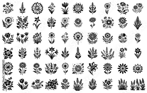 nature plant floral vector black ornamental, floristic decoration illustration, silhouette svg, laser cutting cnc engraving